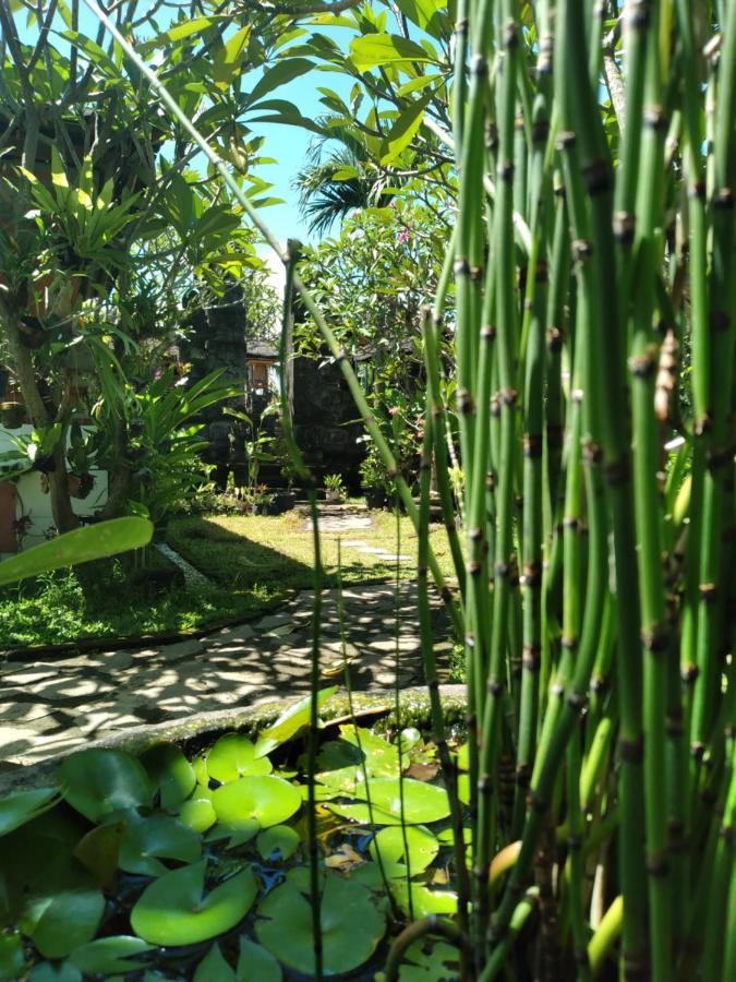 Serongga Guest House Lebih 외부 사진