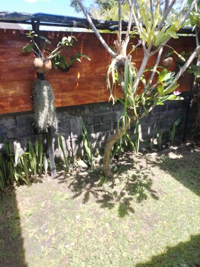 Serongga Guest House Lebih 외부 사진